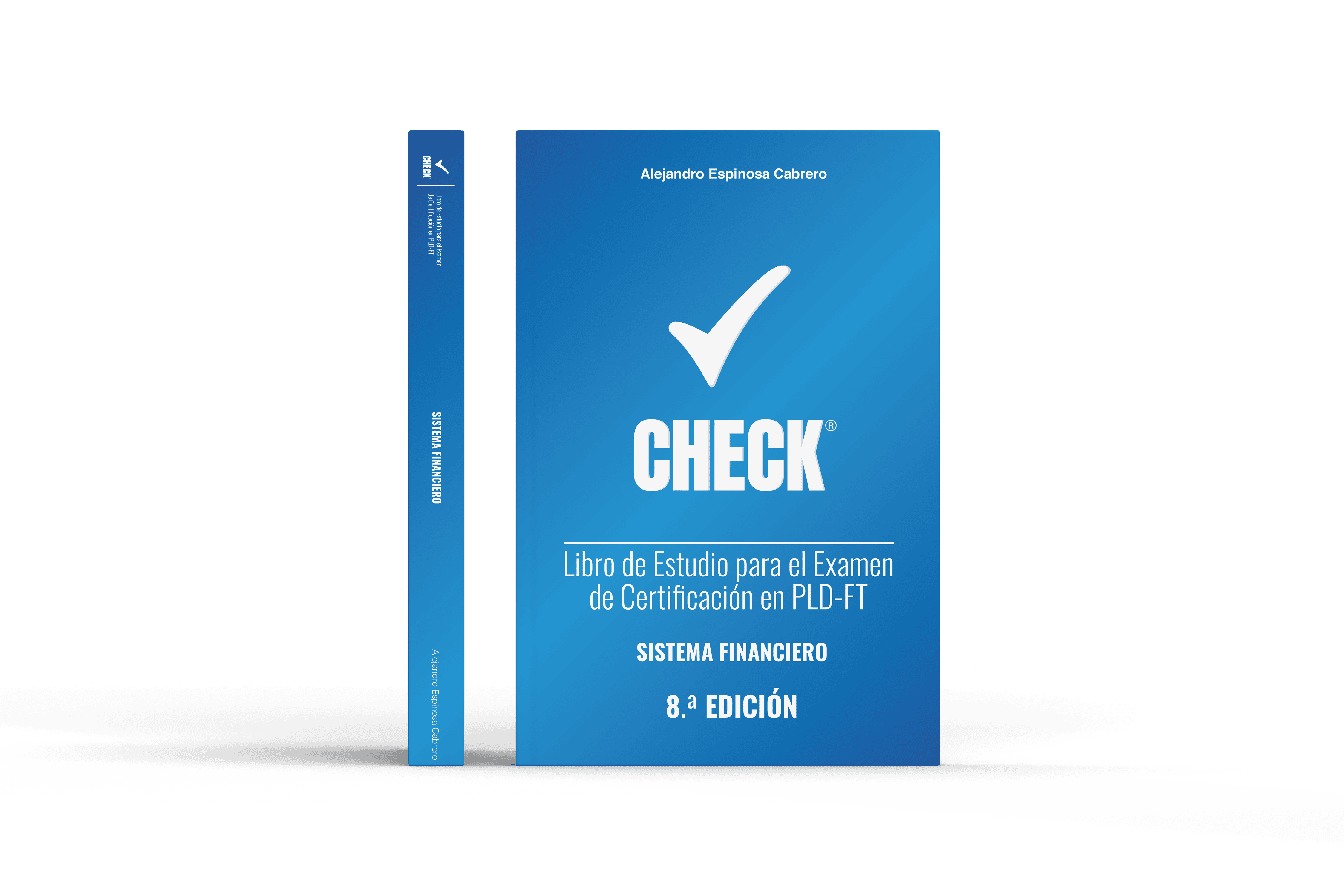 CHECK 8 Sistema Financiero